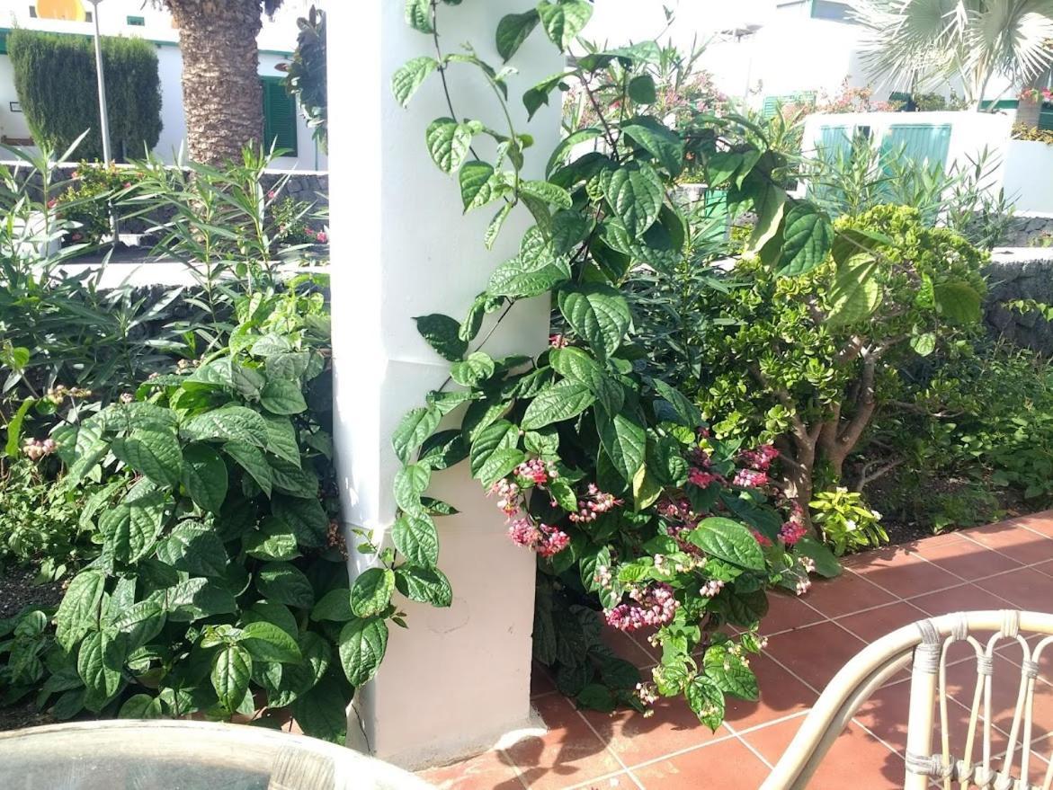 فيلا Casa Maracuya كوستا تاغيسي المظهر الخارجي الصورة
