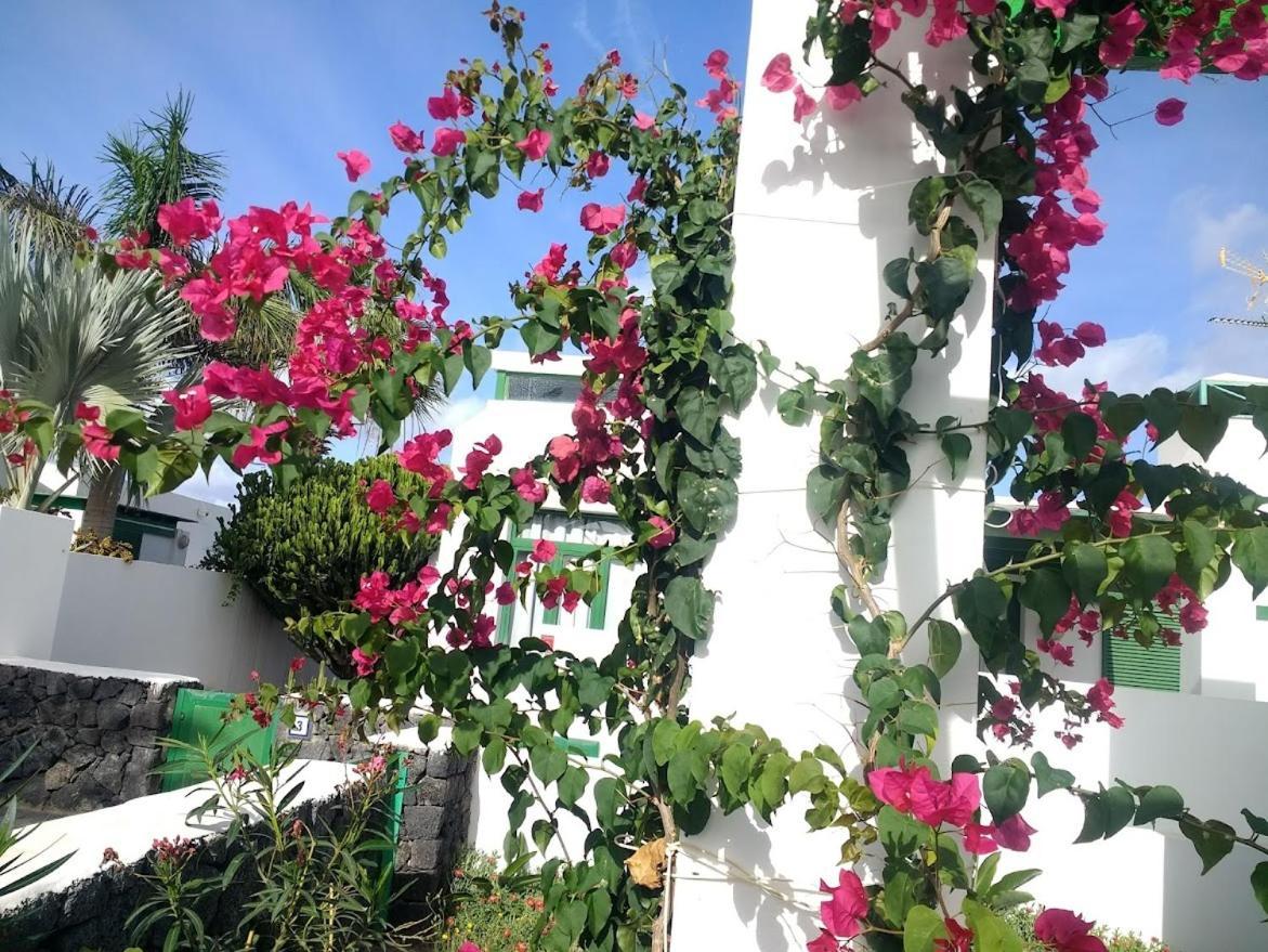 فيلا Casa Maracuya كوستا تاغيسي المظهر الخارجي الصورة